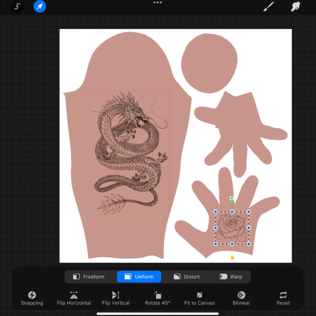 Procreate 3D Human Models & Tattoos Editable Templates, Male, Female Figures, Tattoo Sketch, Concept Art, Lighting, Anatomy Study Kit